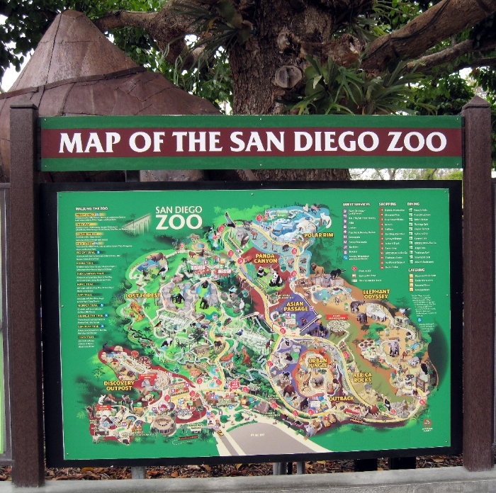 Visiting the San Diego Zoo